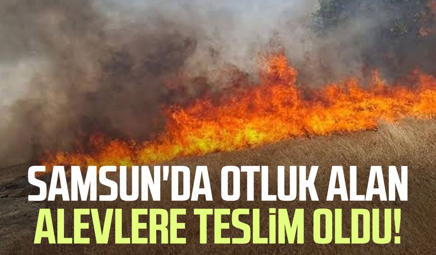 Samsun'da otluk alan alevlere teslim oldu!