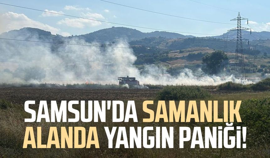 Samsun'da samanlık alanda yangın paniği