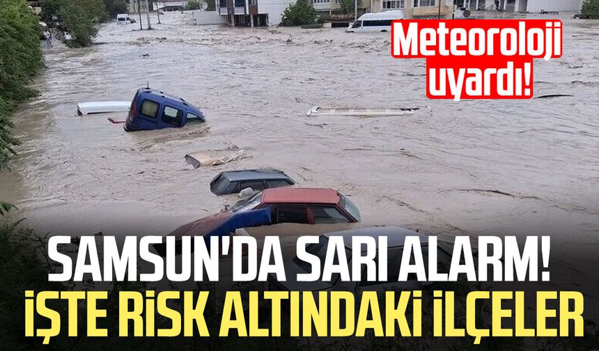 Meteoroloji alarm verdi! Samsun'da 7 ilçe için sarı kodlu uyarı