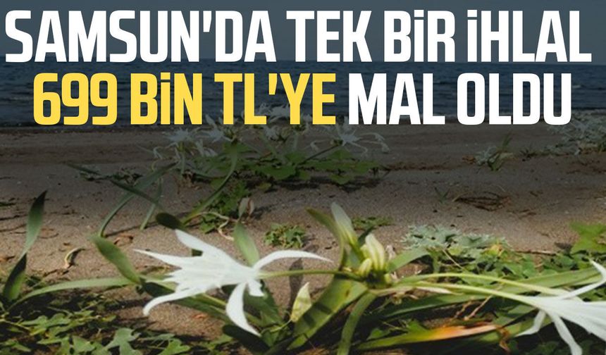 Samsun'da tek bir ihlal 699 bin TL'ye mal oldu