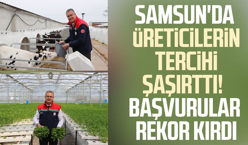 Samsun'da üreticilerin tercihi şaşırttı! Başvurular rekor kırdı