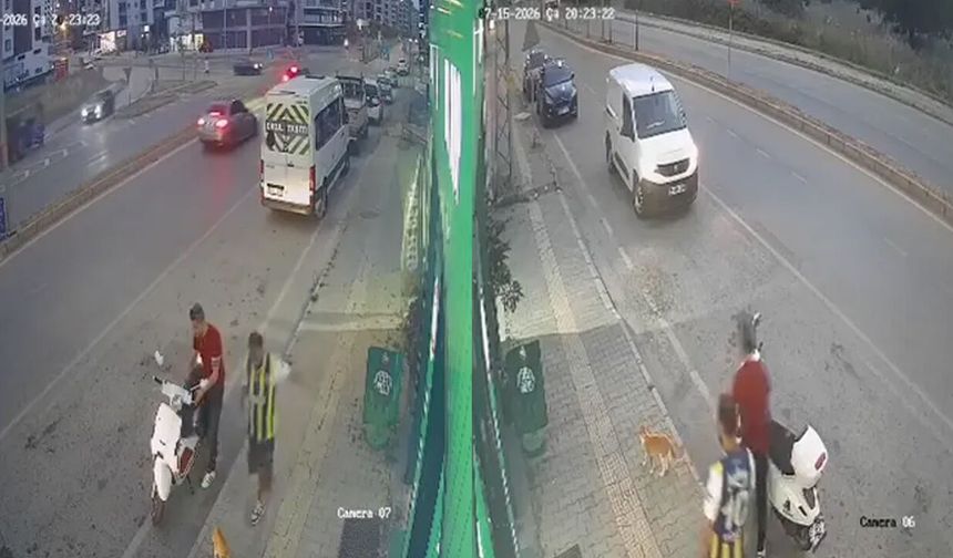 Samsun'da vicdanları sızlatan olay! Sokak kedisine tekme attı