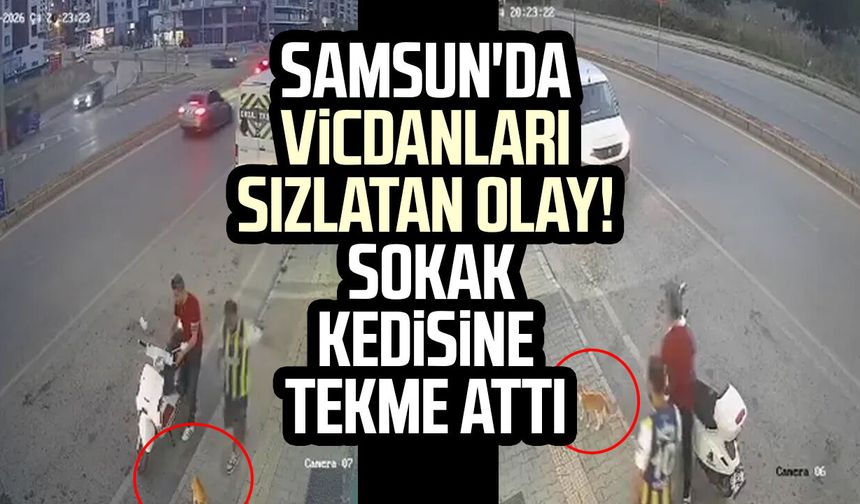 Samsun'da vicdanları sızlatan olay! Sokak kedisine tekme attı