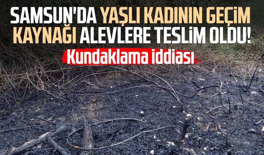 Samsun'da yaşlı kadının geçim kaynağı alevlere teslim oldu!