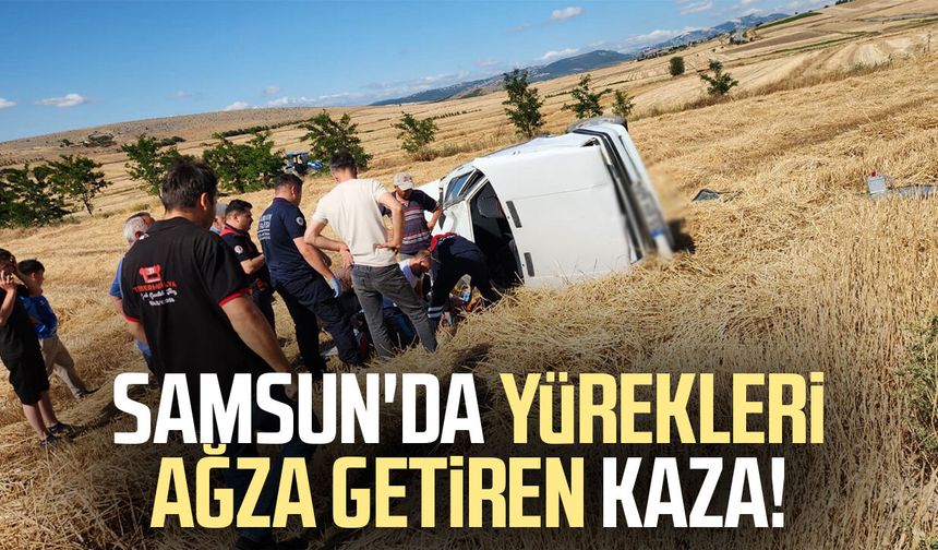 Samsun'da otomobil tarlaya savruldu! Yaralılar var