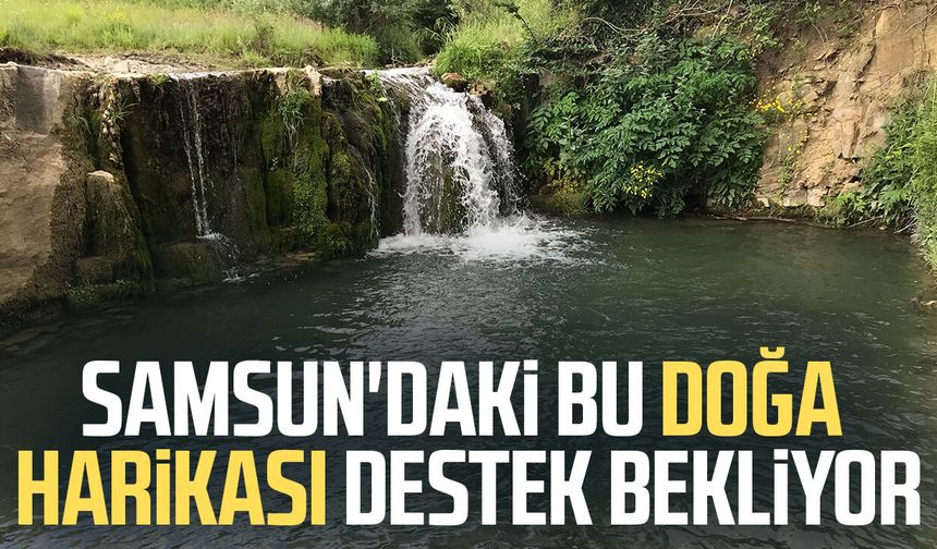Samsun'daki bu doğa harikası destek bekliyor