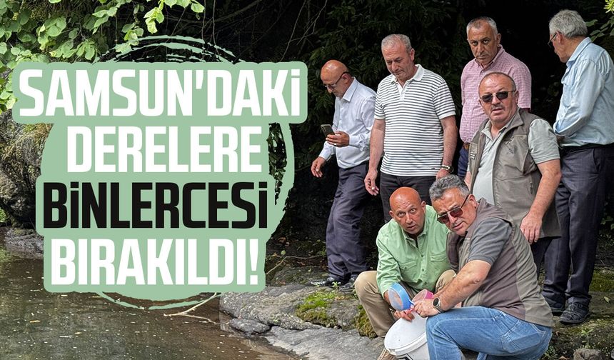 Samsun'daki derelere binlercesi bırakıldı!