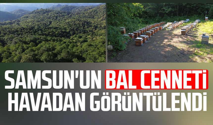 Samsun'un bal cenneti havadan görüntülendi!