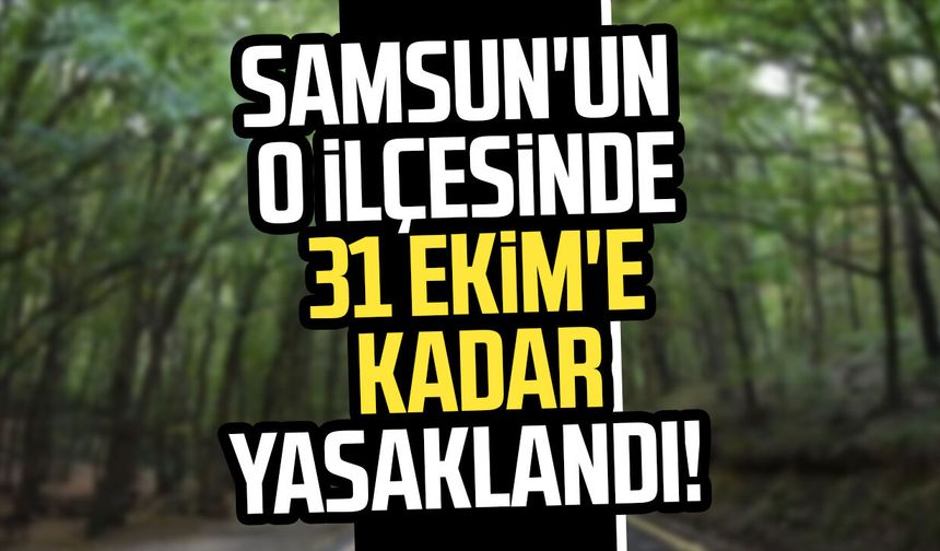 Samsun'un o ilçesinde 31 Ekim'e kadar yasaklandı!