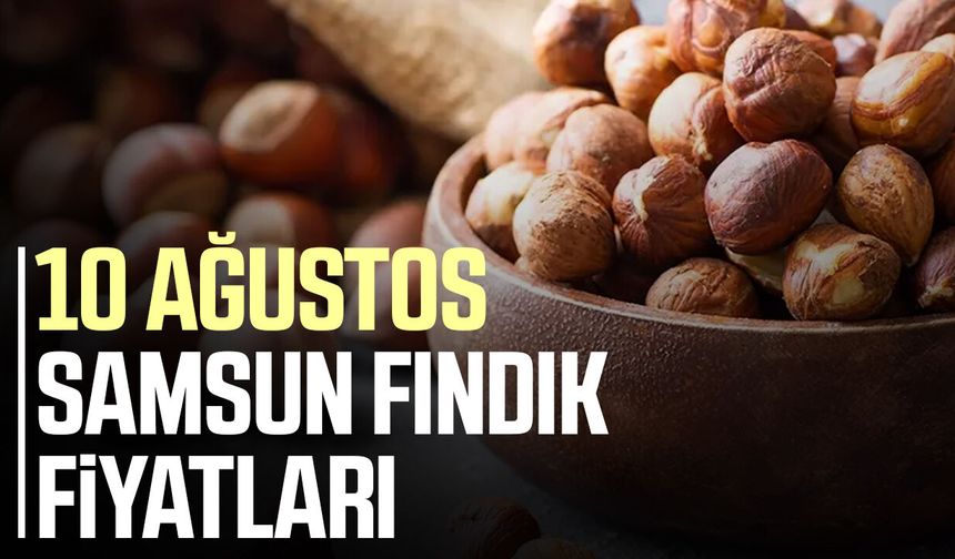 Samsun'da fındık fiyatları belli oldu! İşte 10 Ağustos rakamları