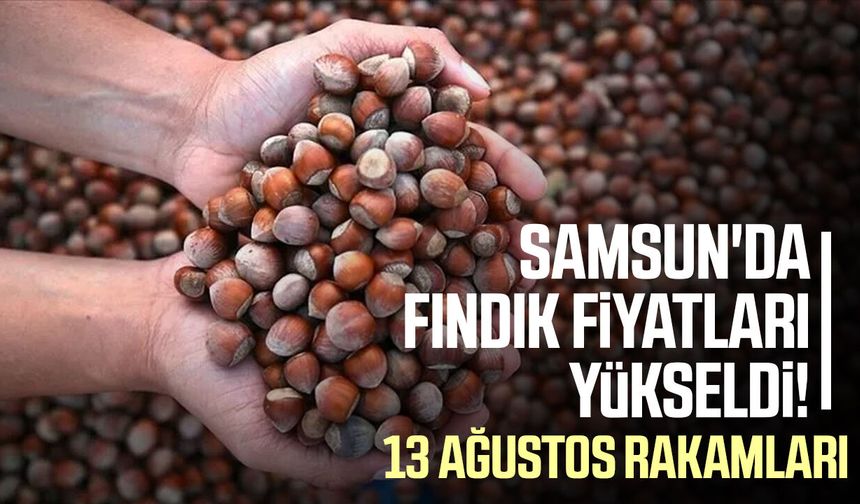 Fındık üreticileri dikkat! 13 Ağustos fiyatları belli oldu