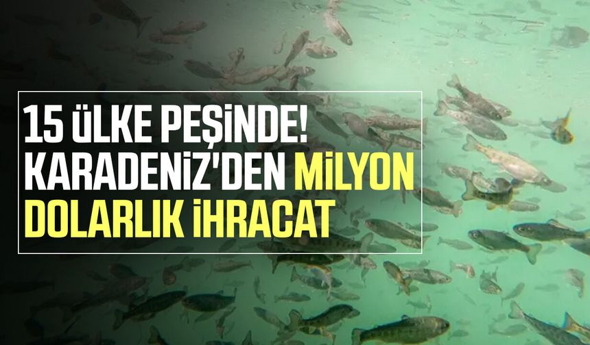Karadeniz'in bereketi kasayı doldurdu! 95 milyon doları aştı