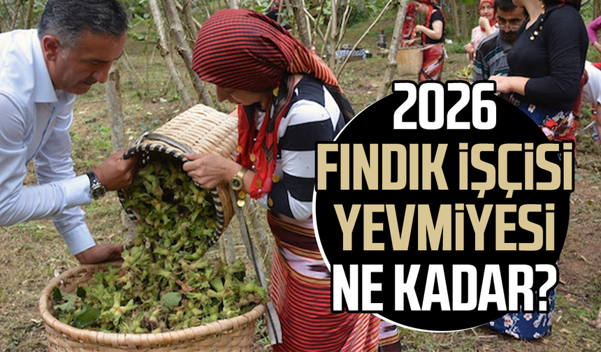 2026 fındık işçisi yevmiyesi ne kadar?