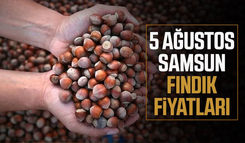 5 Ağustos Samsun fındık fiyatları