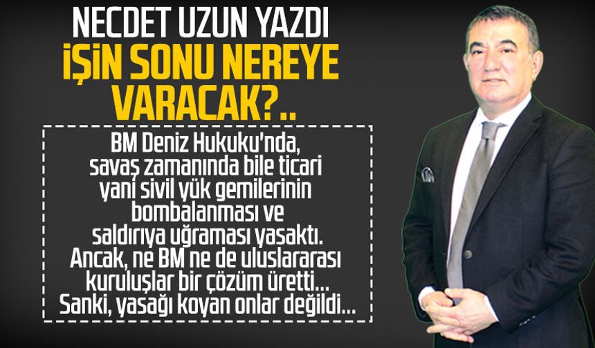 Necdet Uzun yazdı: İşin sonu nereye varacak?..