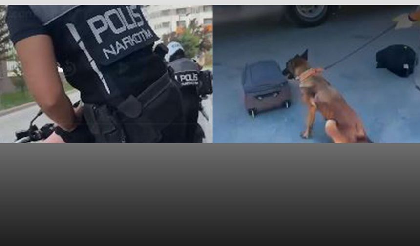 Samsun dahil 71 ilde dev operasyon! 807 kişi tutuklandı