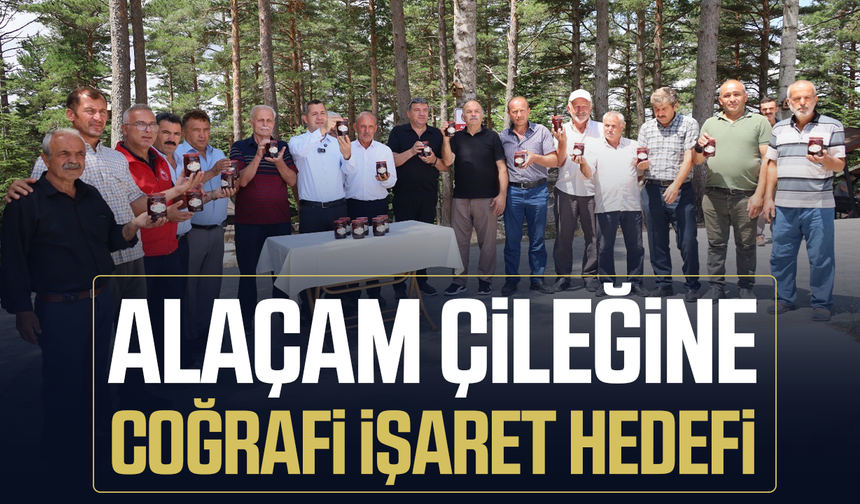 Alaçam çileğine coğrafi işaret hedefi