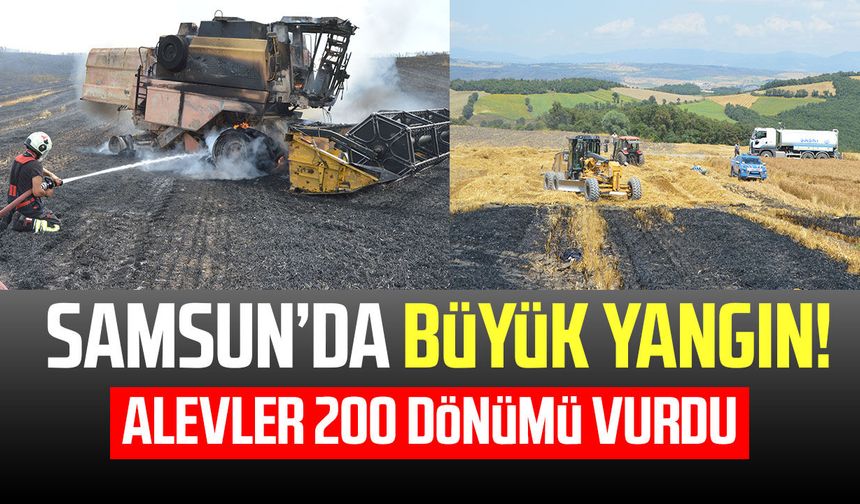 Samsun'da hasat kabusa döndü! Alevler tarlayı sardı