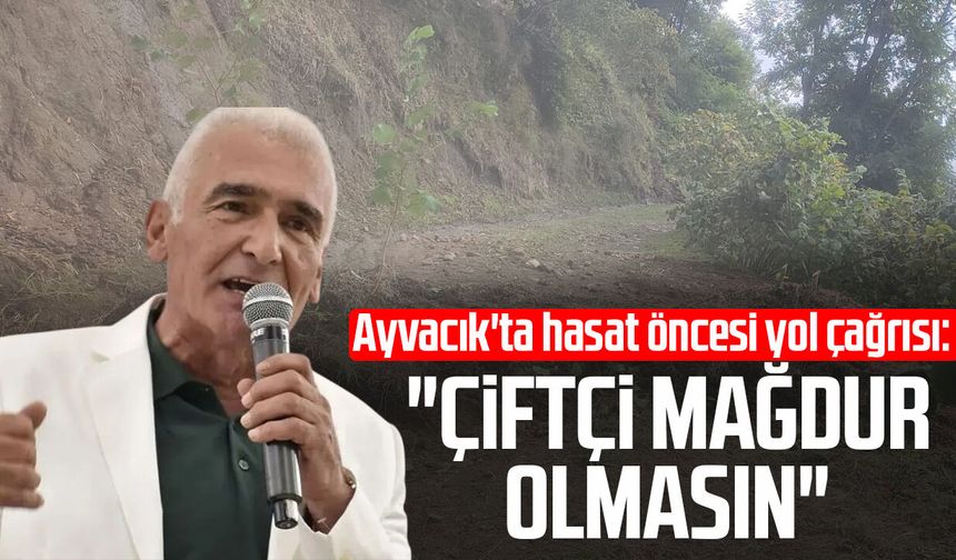 Ayvacık'ta hasat öncesi yol çağrısı: "Çiftçi mağdur olmasın"