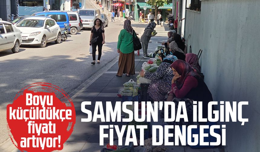 Boyu küçüldükçe fiyatı artıyor! Samsun'da ilginç fiyat dengesi