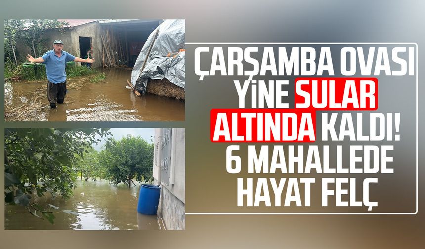 Çarşamba Ovası yine sular altında kaldı! 6 mahallede hayat felç