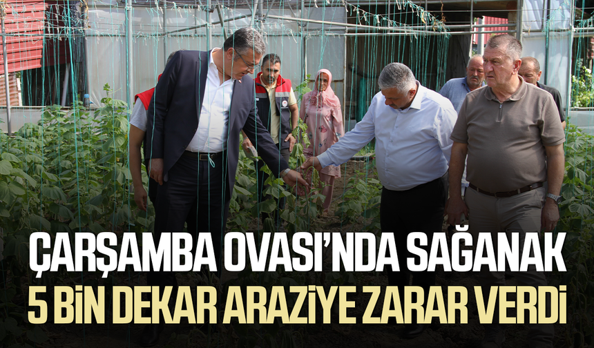 Çarşamba Ovası’nda sağanak 5 bin dekar araziye zarar verdi