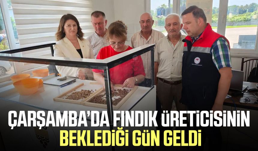 Çarşamba’da TMO fındık alımları başladı