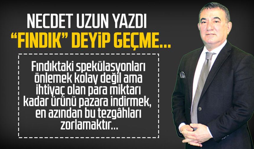 Necdet Uzun yazdı: "Fındık" deyip geçme...
