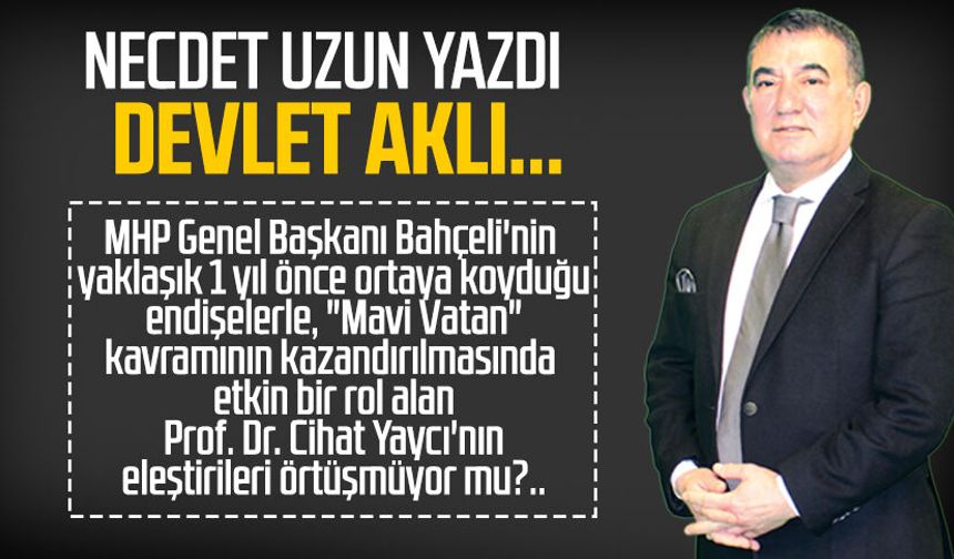 Necdet Uzun yazdı: Devlet aklı...