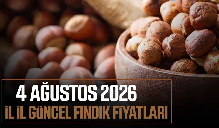 4 Ağustos 2026 il il güncel fındık fiyatları