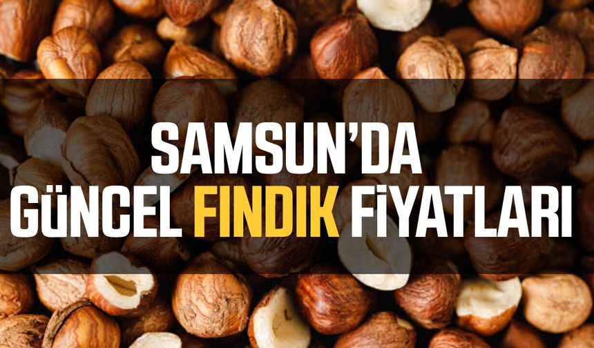 Fındık üreticisi dikkat! Samsun’da güncel rakamlar