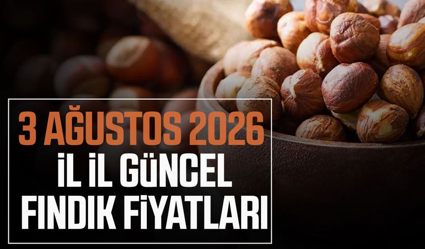 3 Ağustos 2026 il il güncel fındık fiyatları
