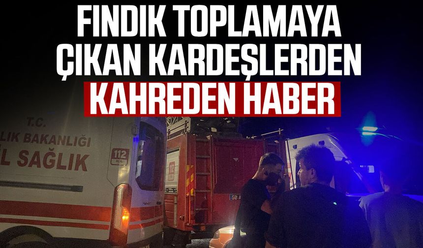 Fındık toplamaya gittiler, geri dönemediler! 2 kız kardeş ölü bulundu