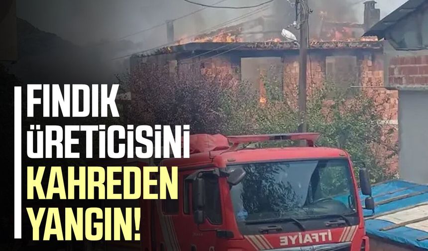 Karadeniz'de büyük zarar! 1 ton fındık küle döndü