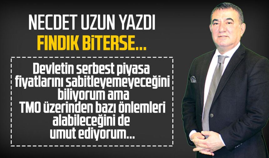 Necdet Uzun yazdı: Fındık biterse...