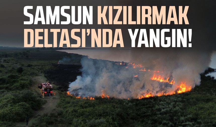 Samsun Kızılırmak Deltası'nda korkutan yangın! 20 dönüm kül oldu