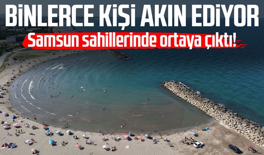 Samsun sahillerinde ortaya çıktı! Binlerce kişi akın ediyor