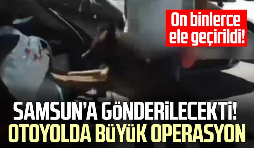 Samsun'a sevk edilecekti! 50 bin 792 adet sentetik ecza ele geçirildi