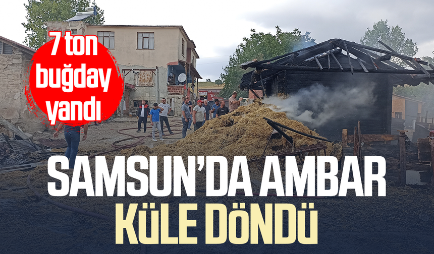 Samsun’da facia gibi yangın! 7 ton buğday yandı