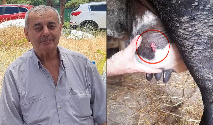 Samsun’da amcasını öldürmüştü! Şaşırtan detay ortaya çıktı