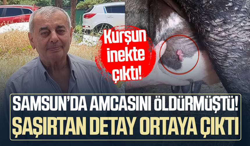 Samsun’da amcasını öldürmüştü! Şaşırtan detay ortaya çıktı