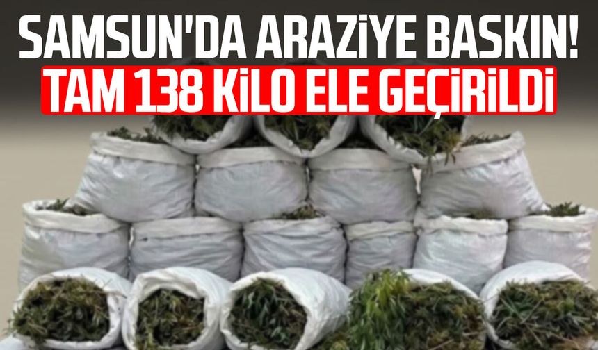 Samsun'da araziye baskın! Tam 138 kilo ele geçirildi