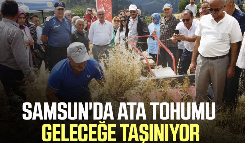 Samsun'da ata tohumu geleceğe taşınıyor