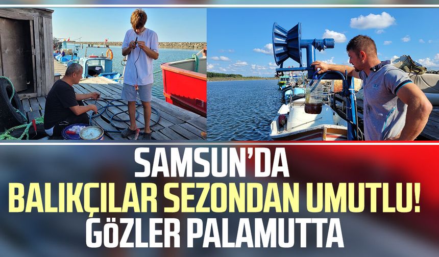 Samsun’da balıkçılar sezondan umutlu! Gözler palamutta