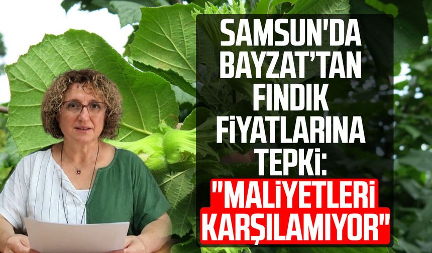 Samsun'da Havva Yurdunuseven Bayzat'dan fındık fiyatlarına tepki