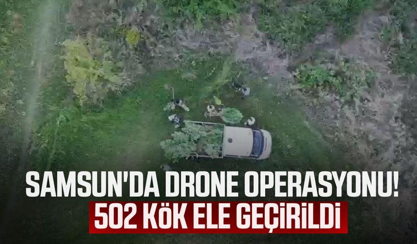 Samsun'da tarladaki sır drone ile çözüldü! 1 gözaltı
