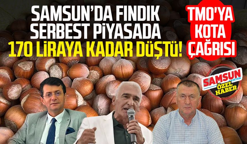 Samsun'da fındık serbest piyasada 170 liraya kadar düştü! TMO'ya kota çağrısı