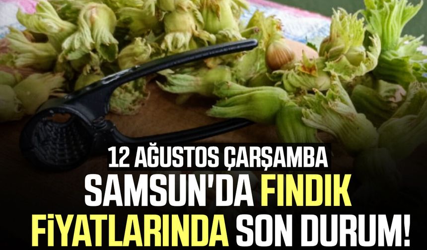 12 Ağustos 2026 güncel fındık fiyatları Samsun