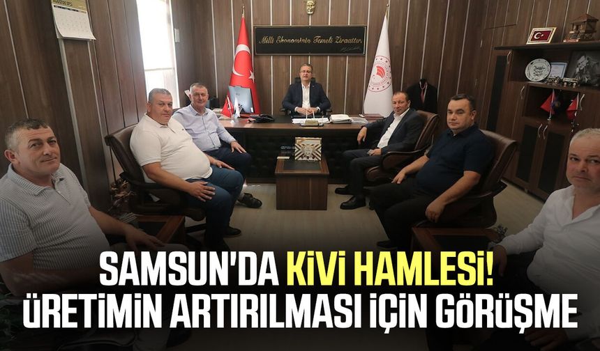 Samsun'da kivi hamlesi! Üretimin artırılması için görüşme