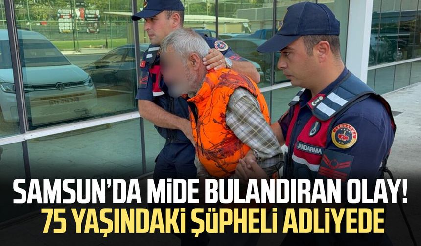 Samsun’da mide bulandıran olay! 75 yaşındaki şüpheli adliyede